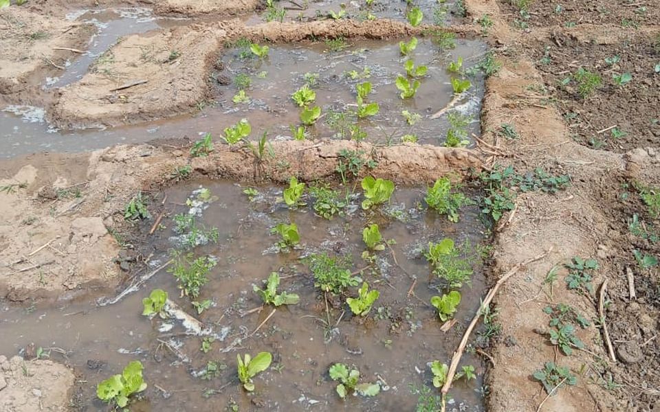 Formation Créer son potager productif