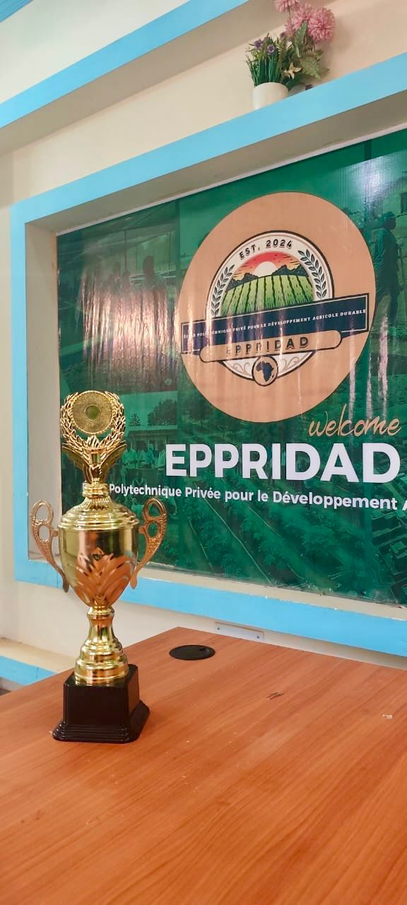 Promotion EPPRIDAD vue du ciel